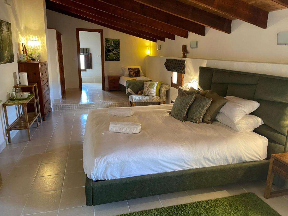 Гостевой дом Grapevine Manor Monovar Номер фото